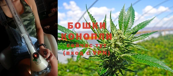 гашиш Богданович